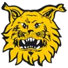 Ilves W