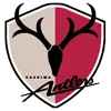 Kashima Antlers