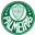 Palmeiras Academy